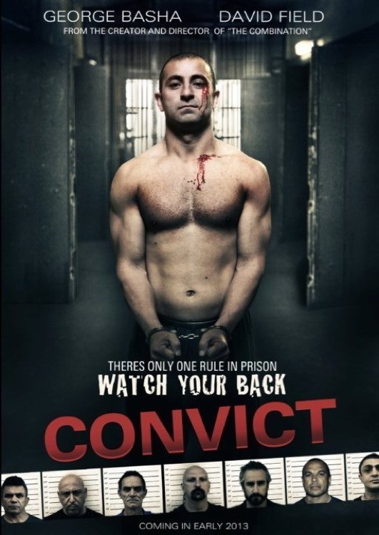 زیرنویس فیلم Convict 2014